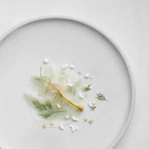 SCHONWALD SHIRO ROUND PLATE FLAT COUPE 240x24mm RELIEF Pack of 6